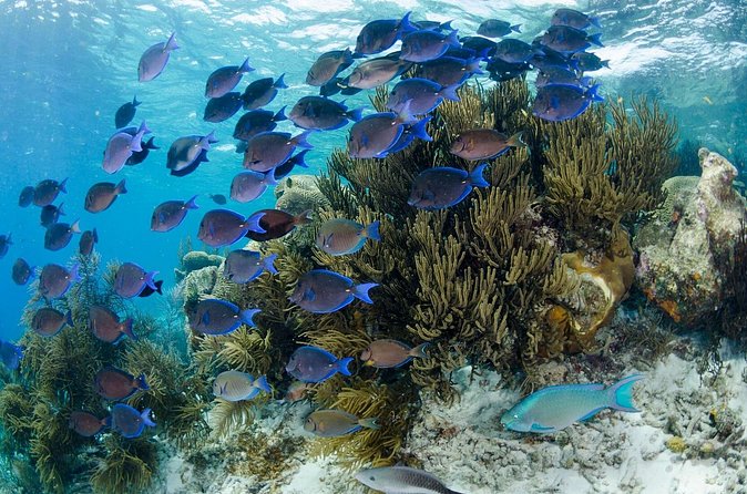 Brunch & Snorkel Catamaran Tour - What the onboard setup means for comfort