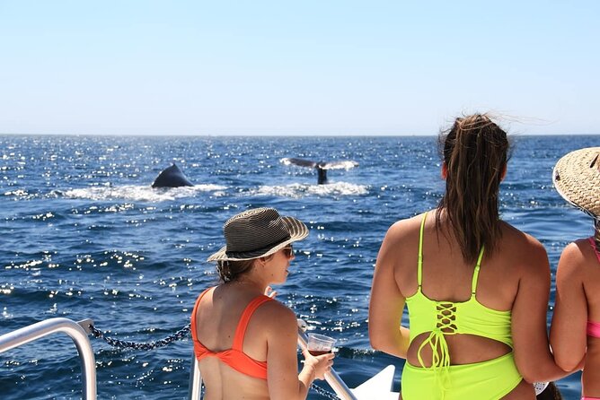 Cabo Catamaran – Snorkeling Tour & Coastal Views - The important service concern