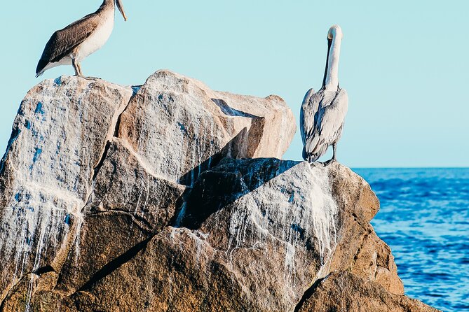 Cabo Private Catamaran: Chill Experience with Sup and Float Mat - What stays on board between swims