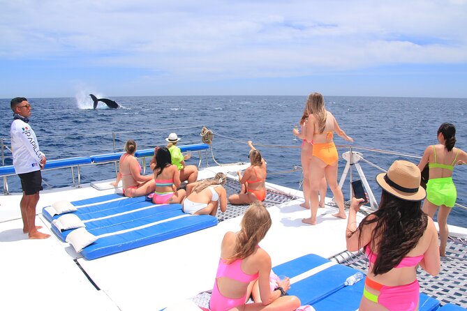 Cabo San Lucas All-Inclusive Private Catamaran Snorkeling Cruise - What the $2,200 price really buys