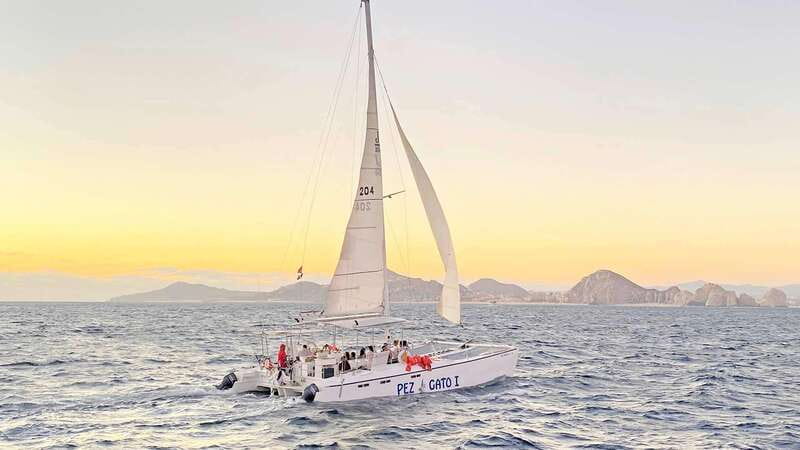 Cabo San Lucas: Whale Watching Experience on Catamaran - My booking advice for this Cabo whale trip