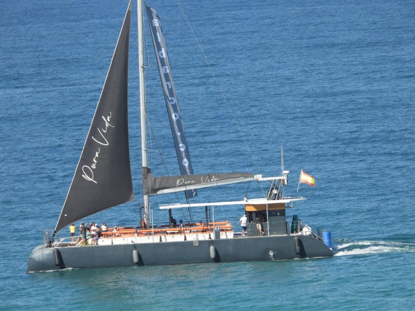 Cádiz: Bay of Cádiz Catamaran Tour with Host - Key points to know before boarding