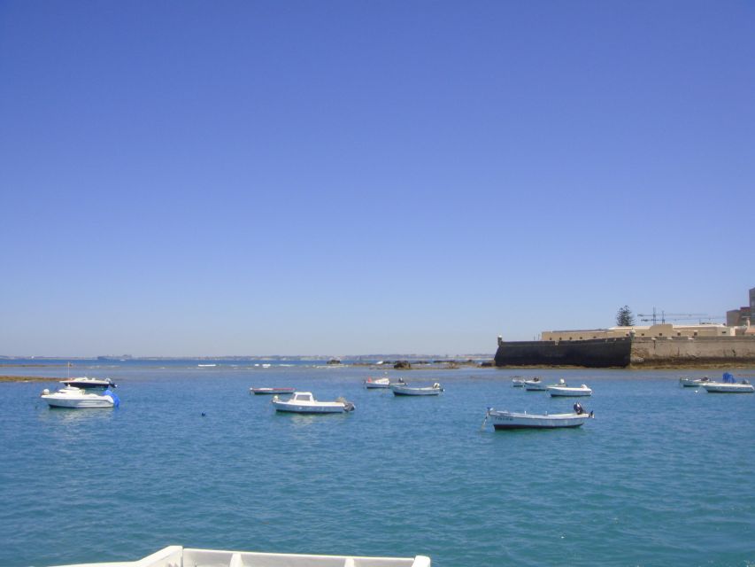 Cádiz: Bay of Cádiz Catamaran Tour with Host - Sailing or motor cruise?