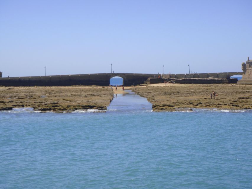 Cádiz: Bay of Cádiz Catamaran Tour with Host - Audio commentary and what you will learn