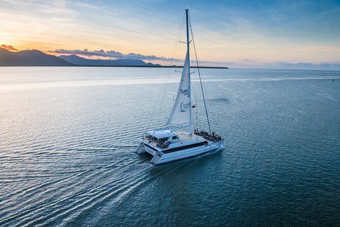 Cairns Catamaran Harbour and Dinner Cruise - From waterfront buildings to Trinity Inlet mangroves
