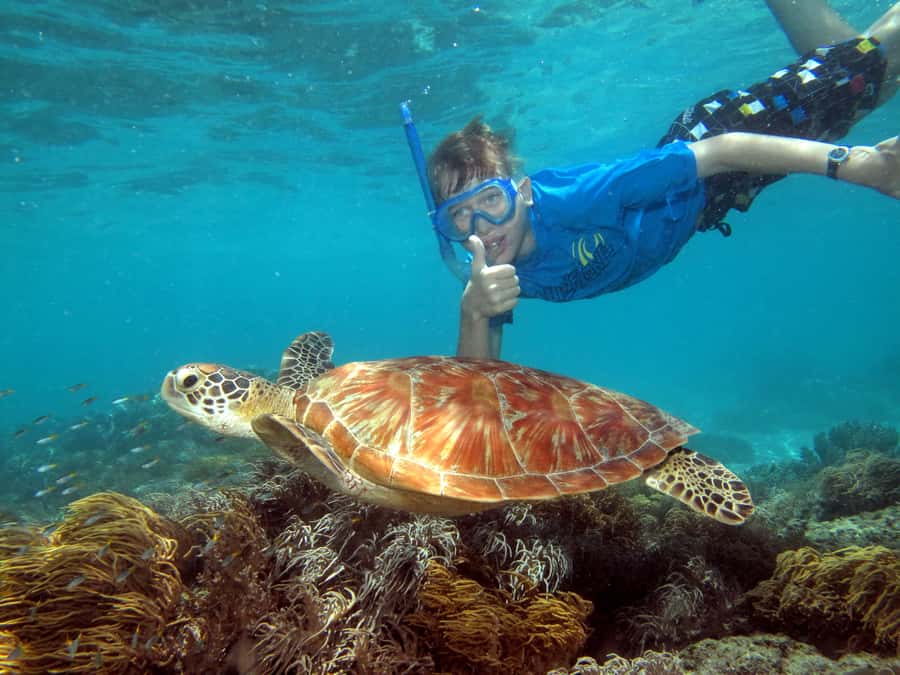 Cairns: Ocean Spirit Great Barrier Reef Full Day Tour - Why Michaelmas Cay is different