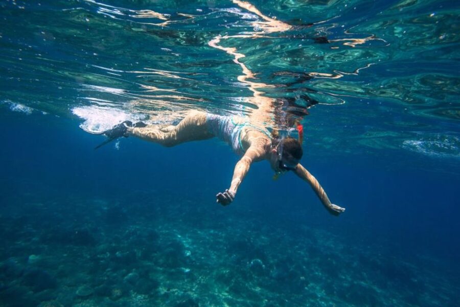 Caleta de Fuste: Catamaran Sailing Experience - Key points to know before you book