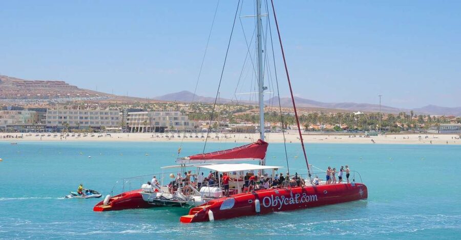 Caleta de Fuste: Catamaran Sailing Experience - The coast, wildlife, and the ride south