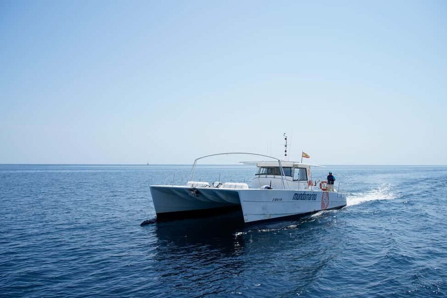 Calpe: Motor catamaran with a swim stop and optional lunch - Key points to know before boarding
