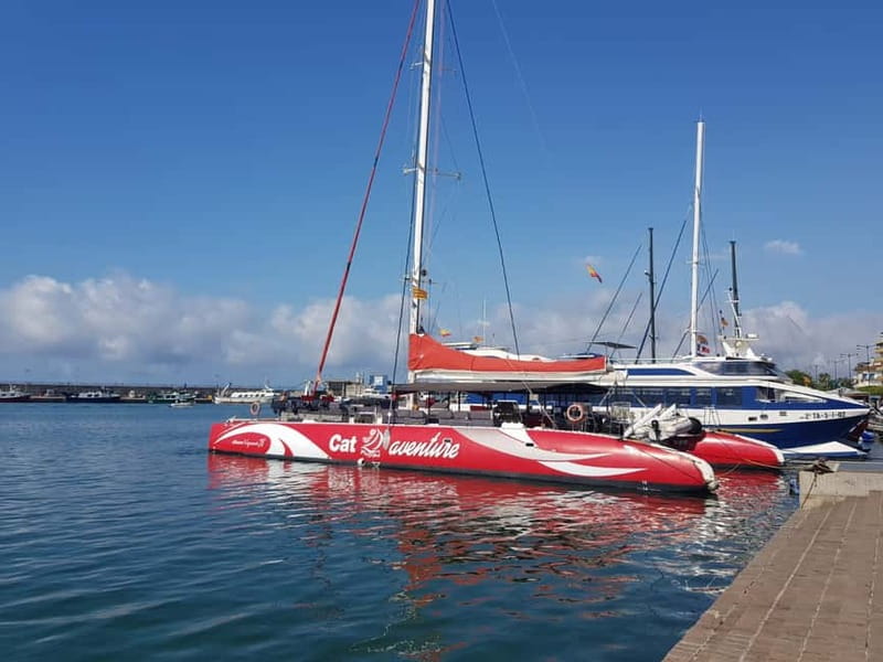 Cambrils/Salou: Coastline Catamaran 2h with drinks, pickup - Leaving Cambrils for the Costa Dorada