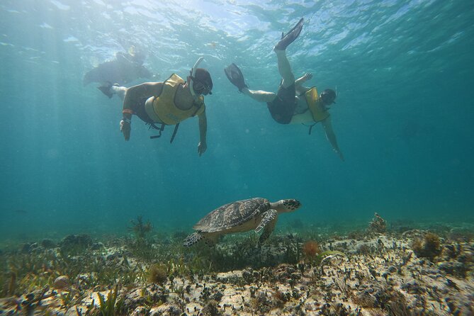 Cancun All Inclusive Catamaran Tour to Isla Mujeres - Check-in at Marina Cun Maran