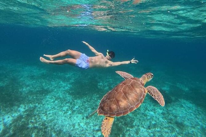 Cancun Catamaran: Sail to Isla Mujeres + Buffet & Drinks - Sailing across Cancun’s turquoise water