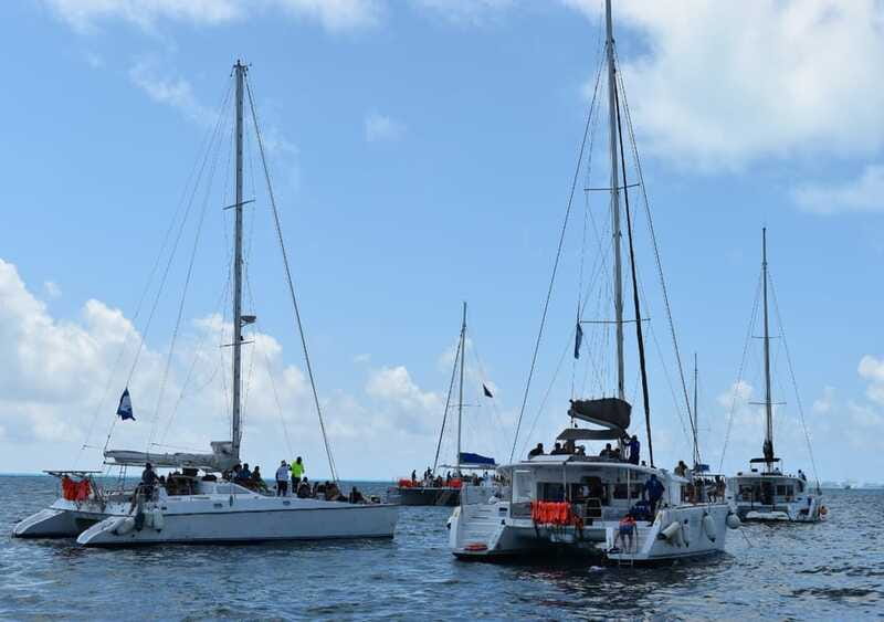 Cancun: Isla Mujeres Only Adults Catamaran, drinks & snorkel - Lunch beside Playa Norte