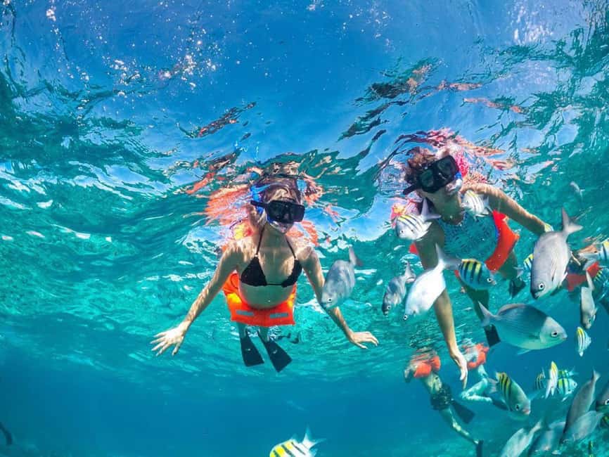 Cancun: Premium Catamaran with Transportation & Dock fee - Reef snorkeling after a short briefing