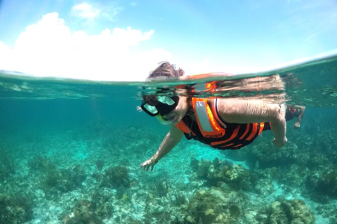 Cancun to isla mujeres catamaran sailing - Who will enjoy this Cancun to Isla Mujeres trip