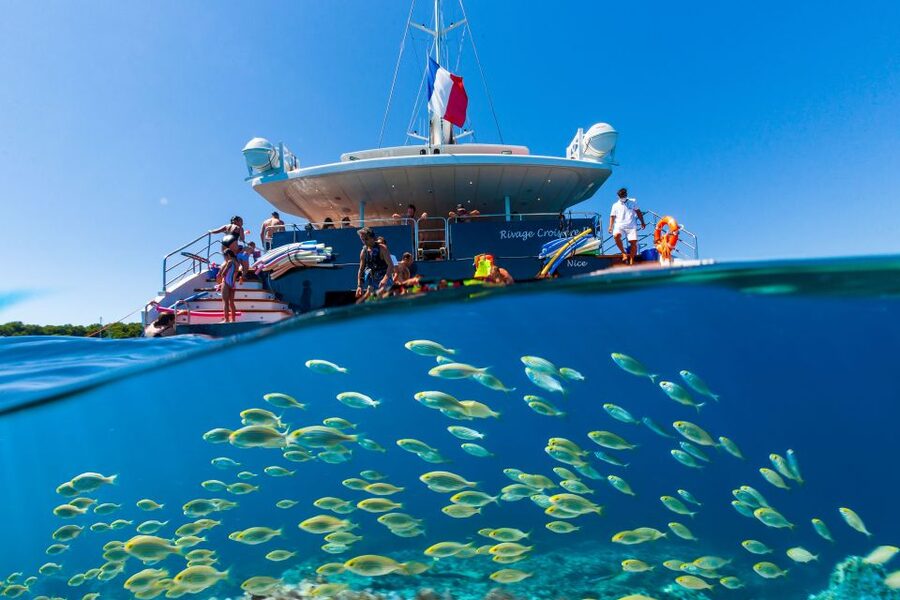 Cannes: Half-Day Catamaran Cruise - The swimming stop near the Lérins Islands or Esterel coast