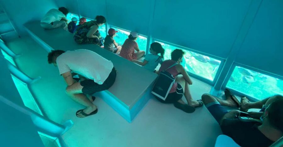 Cap Norfeu: Costa Brava Catamaran Trip with Underwater Views - Cap Norfeu, the strongest section of the route