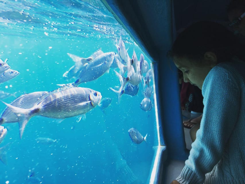 Cap Norfeu: Costa Brava Catamaran Trip with Underwater Views - Who will enjoy this most