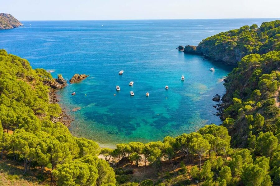 Cap Norfeu: Costa Brava Catamaran Trip with Underwater Views - Leaving Roses beside the lighthouse and castle