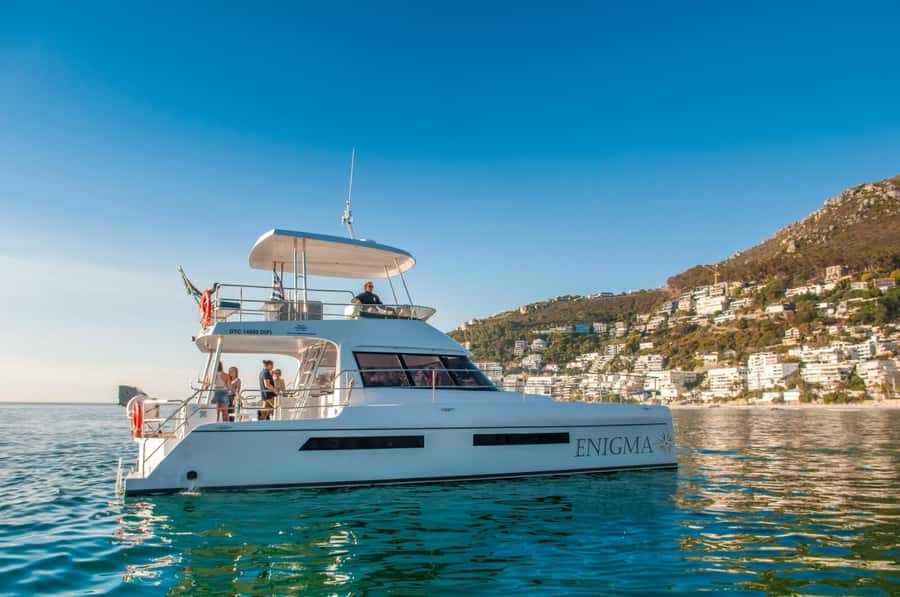Cape Town: Scenic 1-Hour Coastal Catamaran Cruise - Key points to know before you sail