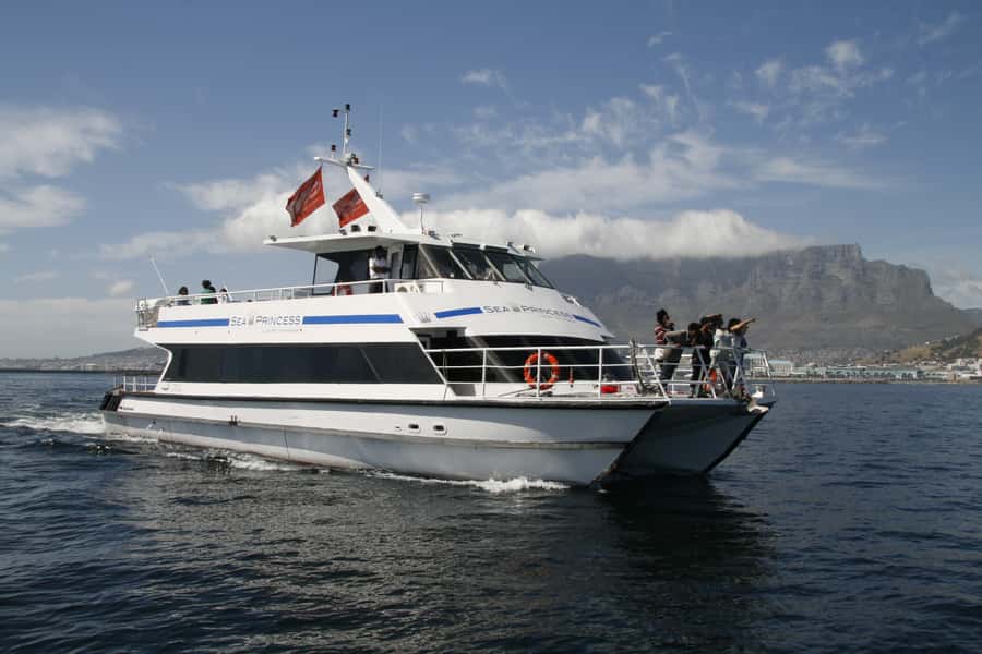 Cape Town: Scenic 1-Hour Coastal Catamaran Cruise - From Quay 5 into Cape Town’s harbor