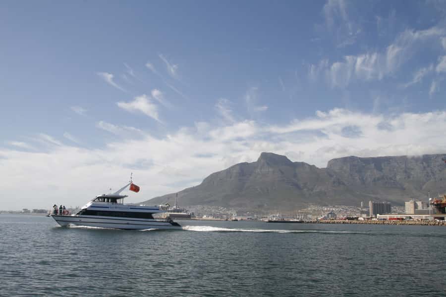Cape Town: Scenic 1-Hour Coastal Catamaran Cruise - Who will enjoy this Cape Town cruise most