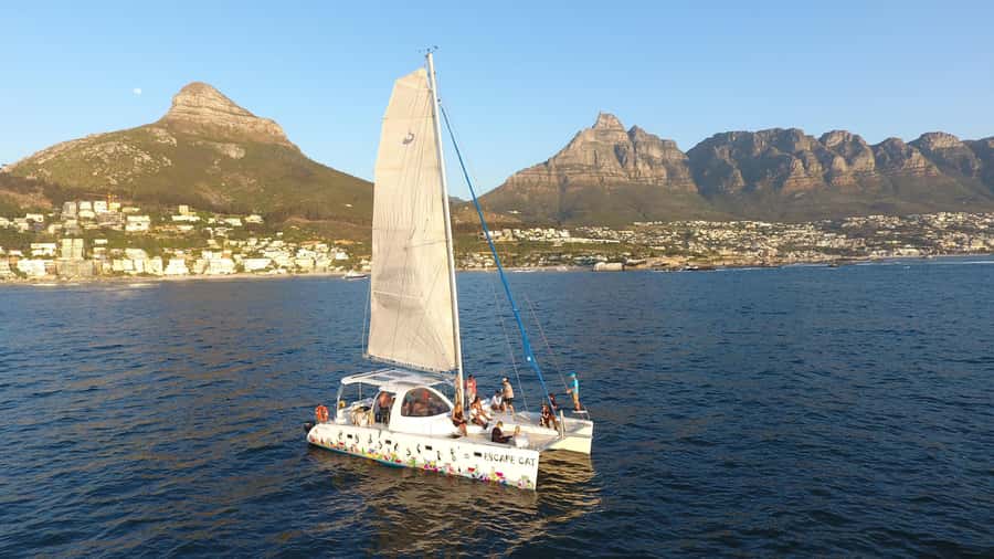 Cape Town: Table Bay Cruise by Catamaran - Key points to know before you sail