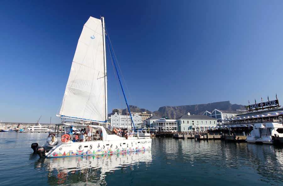 Cape Town: Table Bay Cruise by Catamaran - Setting out from the V&A Waterfront
