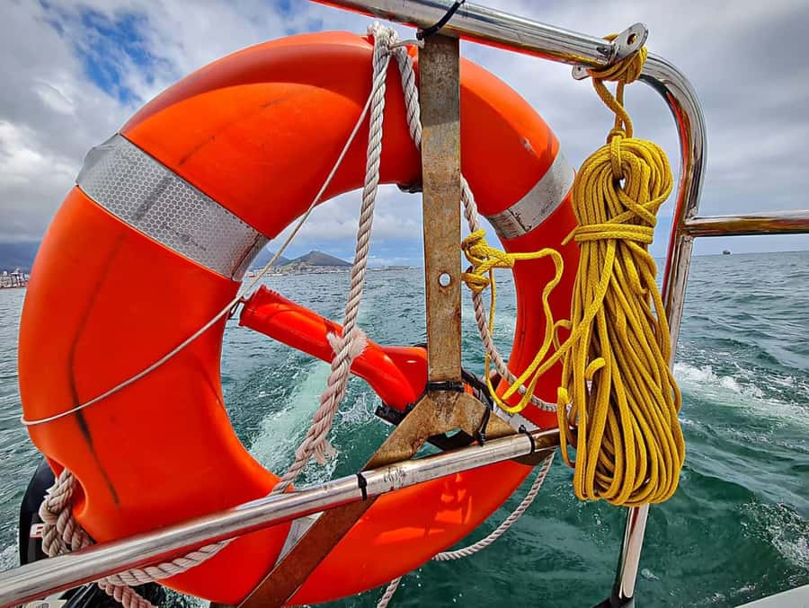 Cape Town: Table Bay Cruise by Catamaran - Choosing between the trampolines and covered aft seating