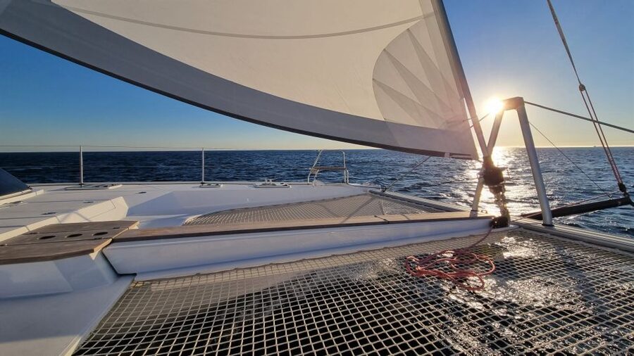 Cascais:Luxury Private Sailing Catamaran Cruise with a Drink - Wildlife and changing conditions
