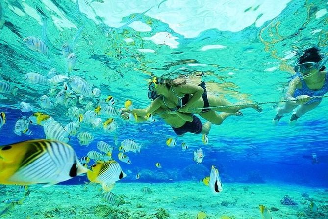 Catamaran Adventure Full Day: Ile aux cerfs,GRSE Waterfall,Snorkeling &BBQ Lunch - The sail back to Trou d’Eau Douce