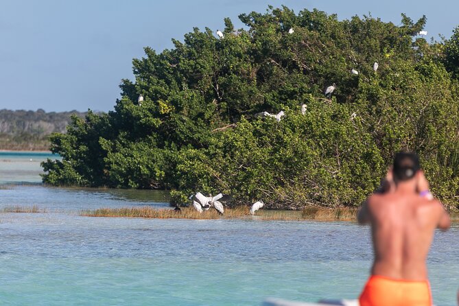 Catamaran Adventure: Sailing and Swimming in the Bacalar Lagoon - Crew service can shape the whole experience