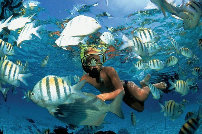 Catamaran adventure to Isla Mujeres with Snorkel,Buffet,Open Bar and Beach Club - The Cancun marina check-in takes patience