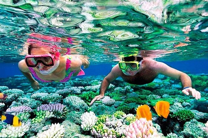 Catamaran adventure to Isla Mujeres with Snorkel,Buffet,Open Bar and Beach Club - The regional buffet is better than a basic boat lunch
