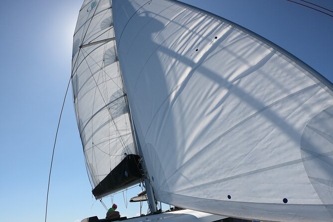 Catamaran Alghero, Catamaran Sailing Day Trip - Max and Alex set the tone