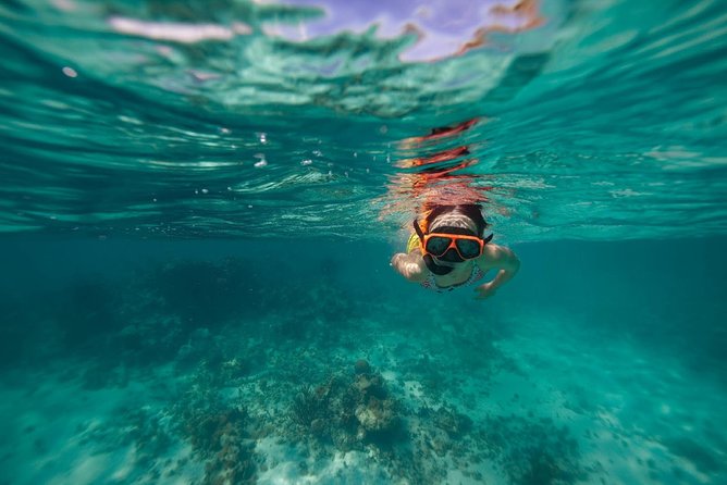 Catamaran and Snorkeling Cruise At Carlisle Bay - The wreck stop and Carlisle Bay snorkeling