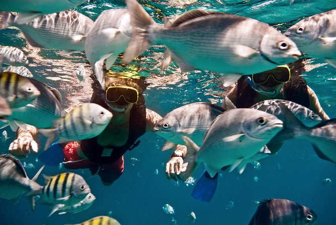 Catamaran and Snorkeling Cruise At Carlisle Bay - The crew and the feel aboard