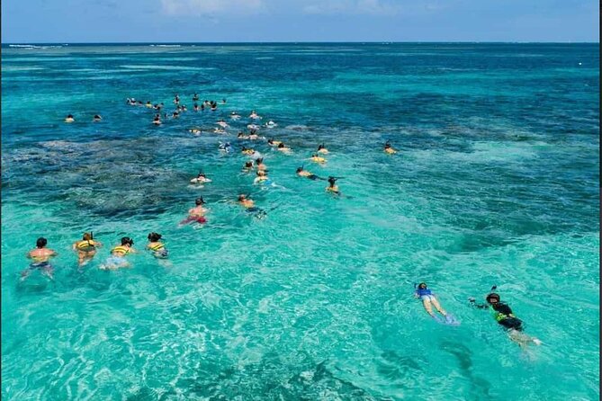 Catamaran and Snorkeling Party with Drink Included in Punta Cana - Snorkeling over the reef comes first