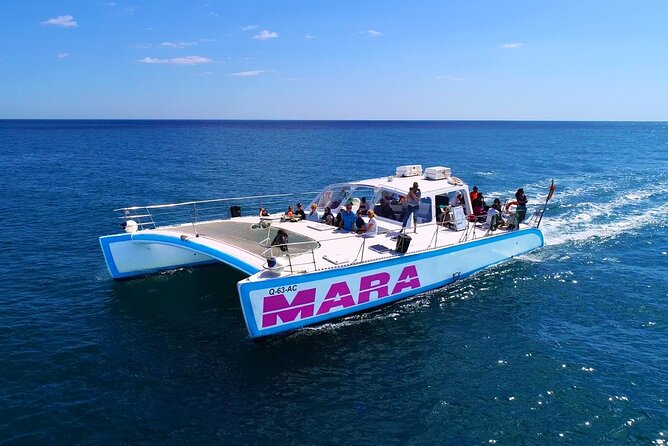 Catamaran BBQ on the Beach: Cruise to Benagil Caves - Arrival, booking, and group rules