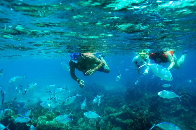 Catamaran Booze Cruise And Snorkeling Punta Cana - Adults Only - Key Things to Know Before You Book