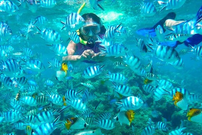 Catamaran Catalina Island Day Trip with Lunch - Who should book, and who should think twice