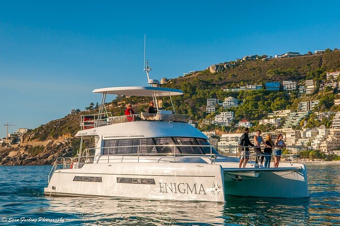 Catamaran Cruise and Sushi Experience in Cape Town - Price and overall value at $38.85