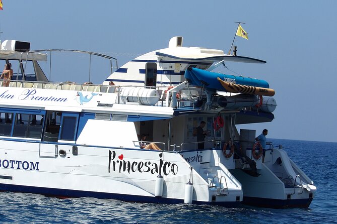 Catamaran Cruise from Puerto Rico (Full package) - Weather, cancellation, and practical planning
