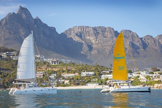 Catamaran Cruise in Cape Town - Key points to know before booking