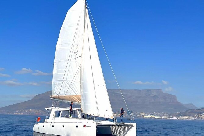 Catamaran Cruise in Cape Town - Why seeing Cape Town from the sea changes the view