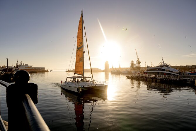 Catamaran Cruise in Cape Town - Table Mountain and the Twelve Apostles from offshore