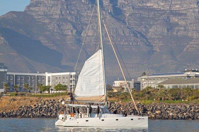 Catamaran Cruise in Cape Town - What the crew adds to the experience