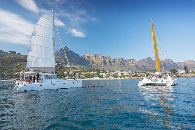 Catamaran Cruise in Cape Town - Setting out from the V&A Waterfront