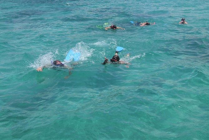 Catamaran Cruise: Isle aux Cerfs, Including BBQ Lunch, in Mauritius - Snorkeling is simple and built into the day