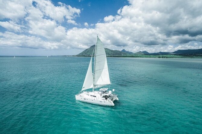 Catamaran Cruise: Isle aux Cerfs, Including BBQ Lunch, in Mauritius - Dolphins can turn an ordinary crossing into a highlight